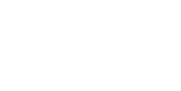 The Naked Truth logo