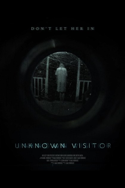 Poster for Unknown Visitor
