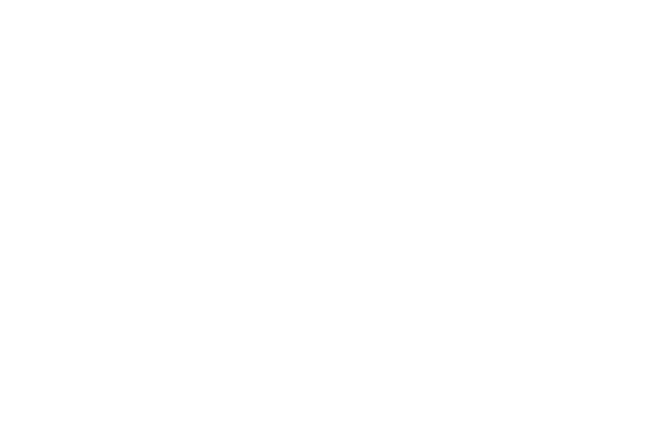 Marty logo