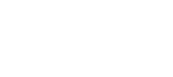 Four Lions logo