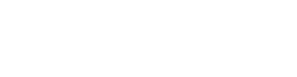 Bullet Train logo