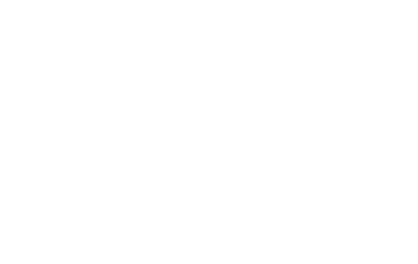 Pride and Glory logo
