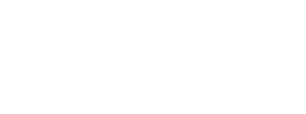 The Bourne Identity logo