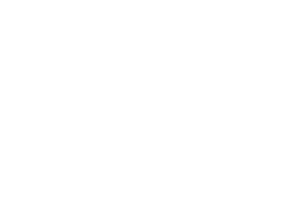 Ring 2 logo