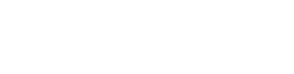 The Snow Sister logo