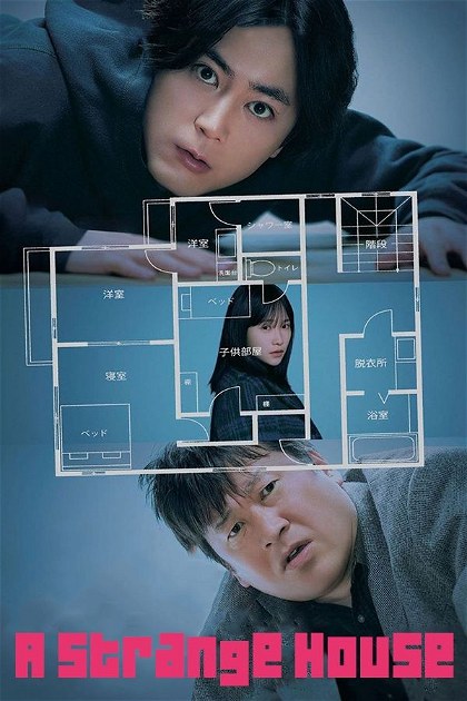 Poster for A Strange House