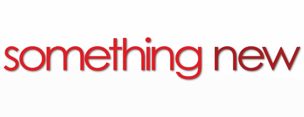 Something New logo
