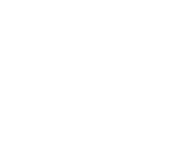The Animal Kingdom logo
