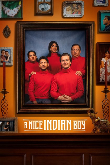 Poster for A Nice Indian Boy