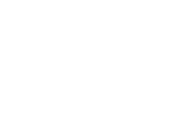 Home Again logo