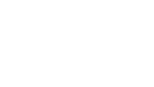 Nothing to Declare logo