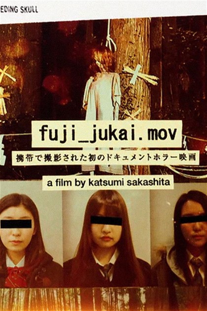 Poster for fuji_jukai.mov