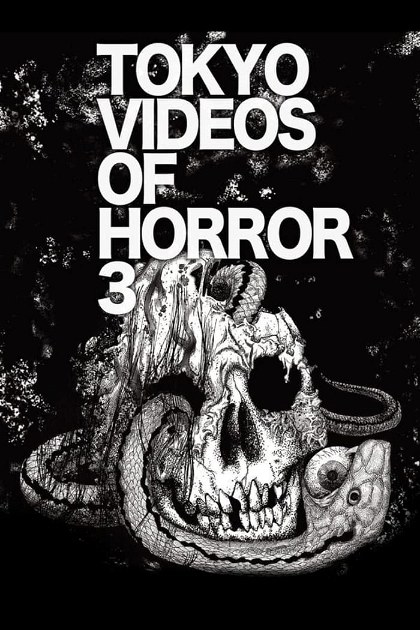 Poster for Tokyo Videos of Horror 3