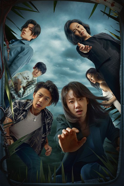 Poster for Last Suspect