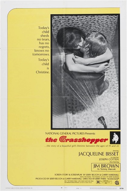 Poster for The Grasshopper