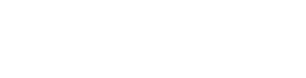 Lost in America logo
