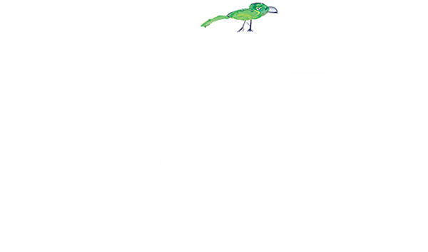 Like Stars on Earth logo