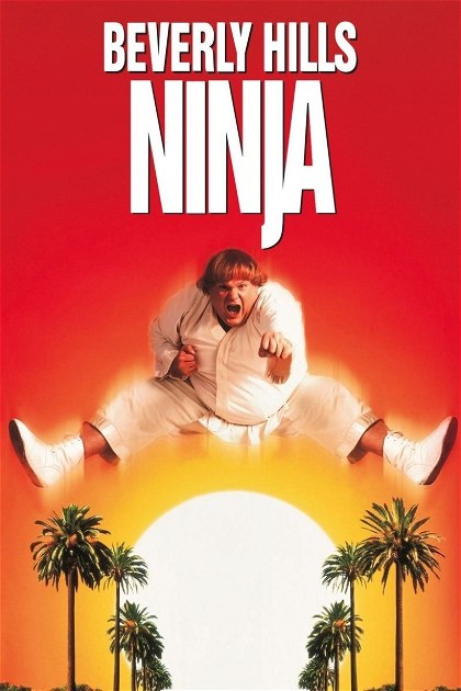 Poster for Beverly Hills Ninja