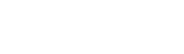New York Stories logo