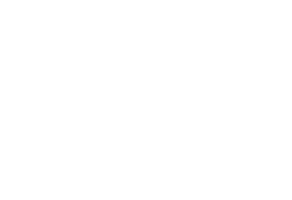The Vow logo
