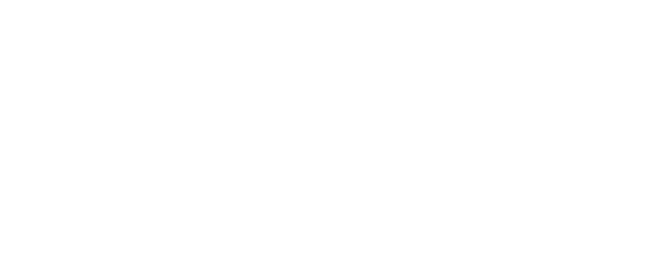 Pelé: Birth of a Legend logo