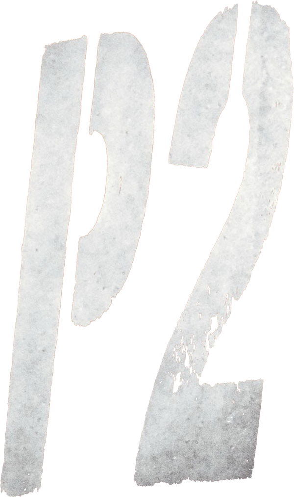P2 logo