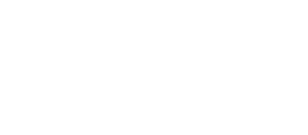 The Follies logo
