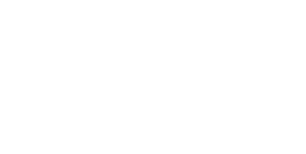 Hudson Hawk logo