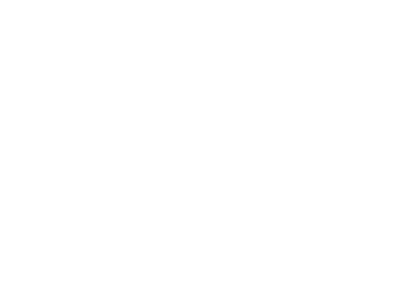 A Dog's Journey logo