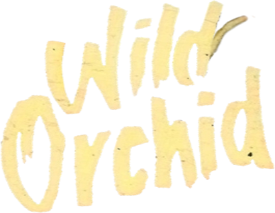 Wild Orchid logo
