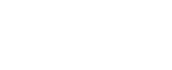 The Diary of Anne Frank logo
