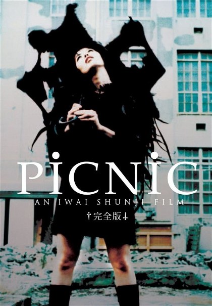 Poster for Picnic