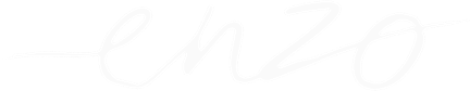 Enzo logo