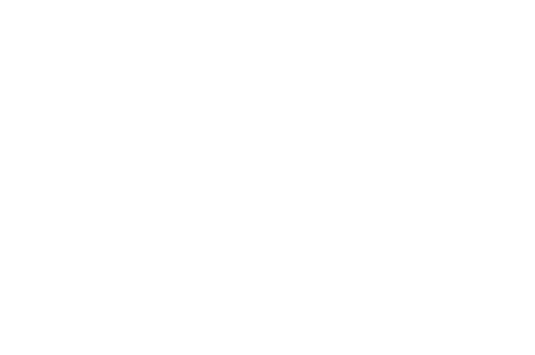 The Fisher King logo