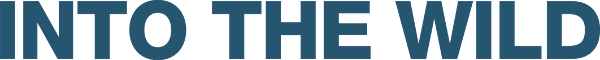 Into the Wild logo