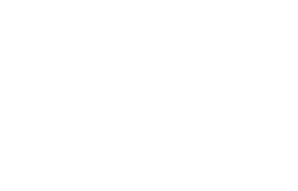 The Engineer logo