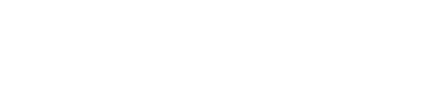 The Night Porter logo