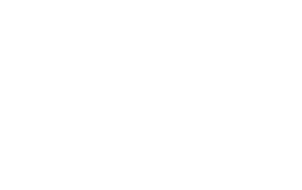 Nirvanna the Band the Show the Movie logo