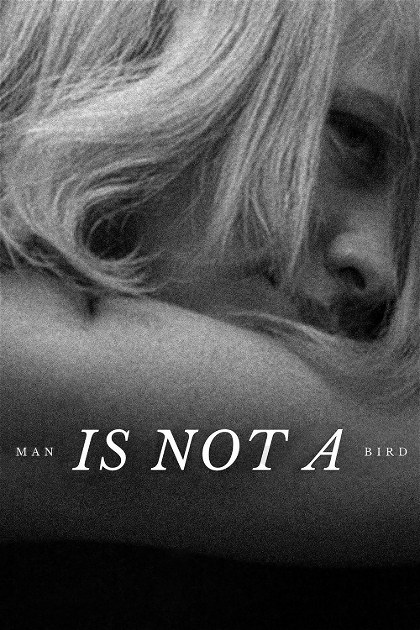 Poster for Man Is Not a Bird