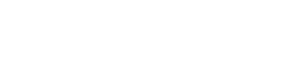 Nobody Sleeps in the Woods Tonight logo