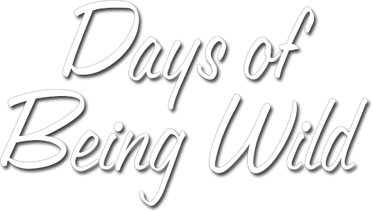 Days of Being Wild logo