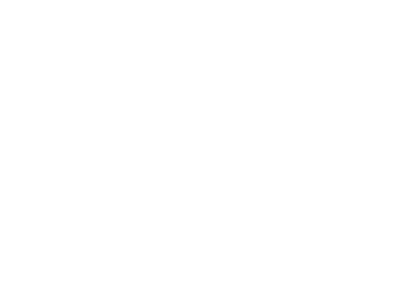 The Dawn Wall logo