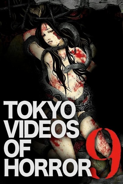 Poster for Tokyo Videos of Horror 9