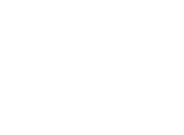 Deck the Walls logo
