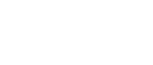 Force of Nature: The Dry 2 logo