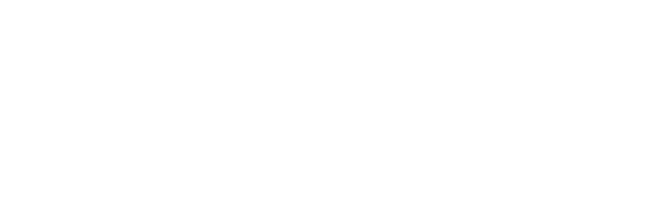The Internship logo