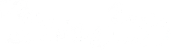 Letters to Santa logo