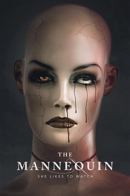 Poster for The Mannequin