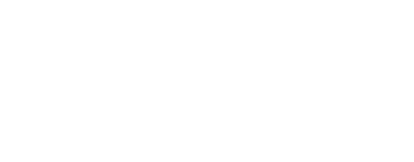 The Divine Fury logo