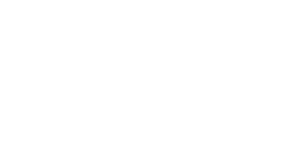Guiding Emily logo